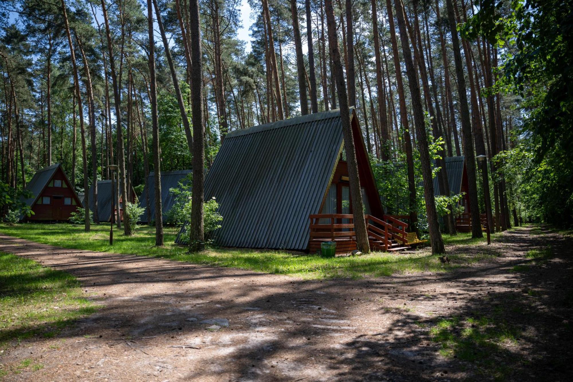 "Lesne Ustronie" Villa Byslaw Exterior photo